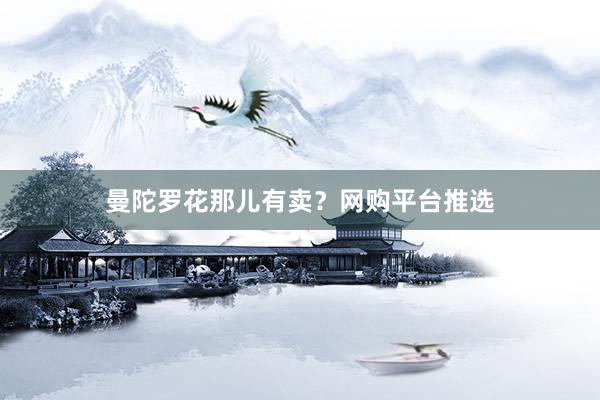 曼陀罗花那儿有卖？网购平台推选