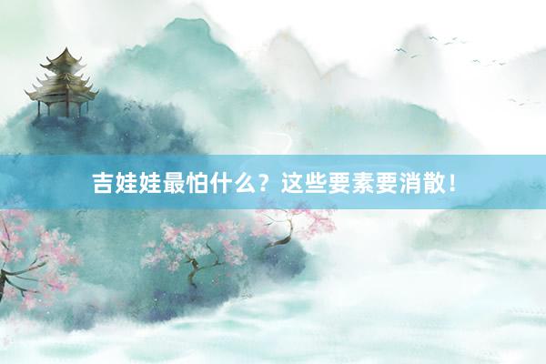 吉娃娃最怕什么？这些要素要消散！